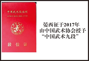 中国武术九段