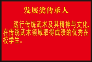 发展类传承人